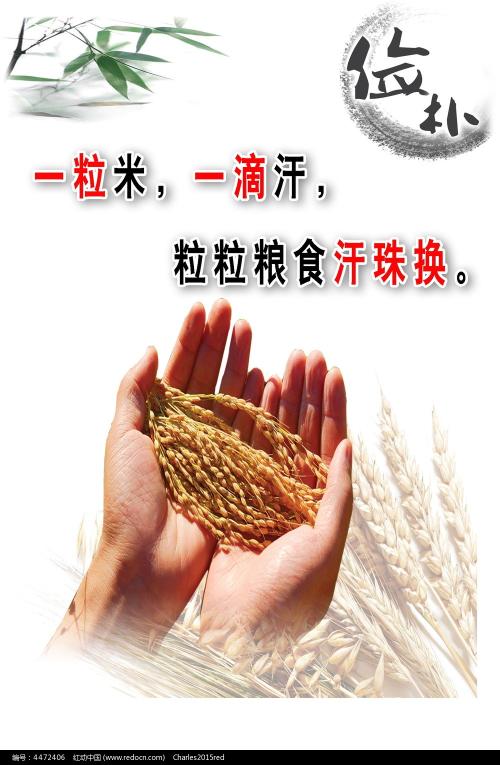 往届生申请学位证